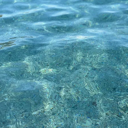 公寓 La Stella Gregoriana 斯培西亚